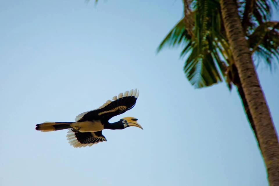 Baan Anattaya Koh Yao Noi Bed and Breakfast Εξωτερικό φωτογραφία